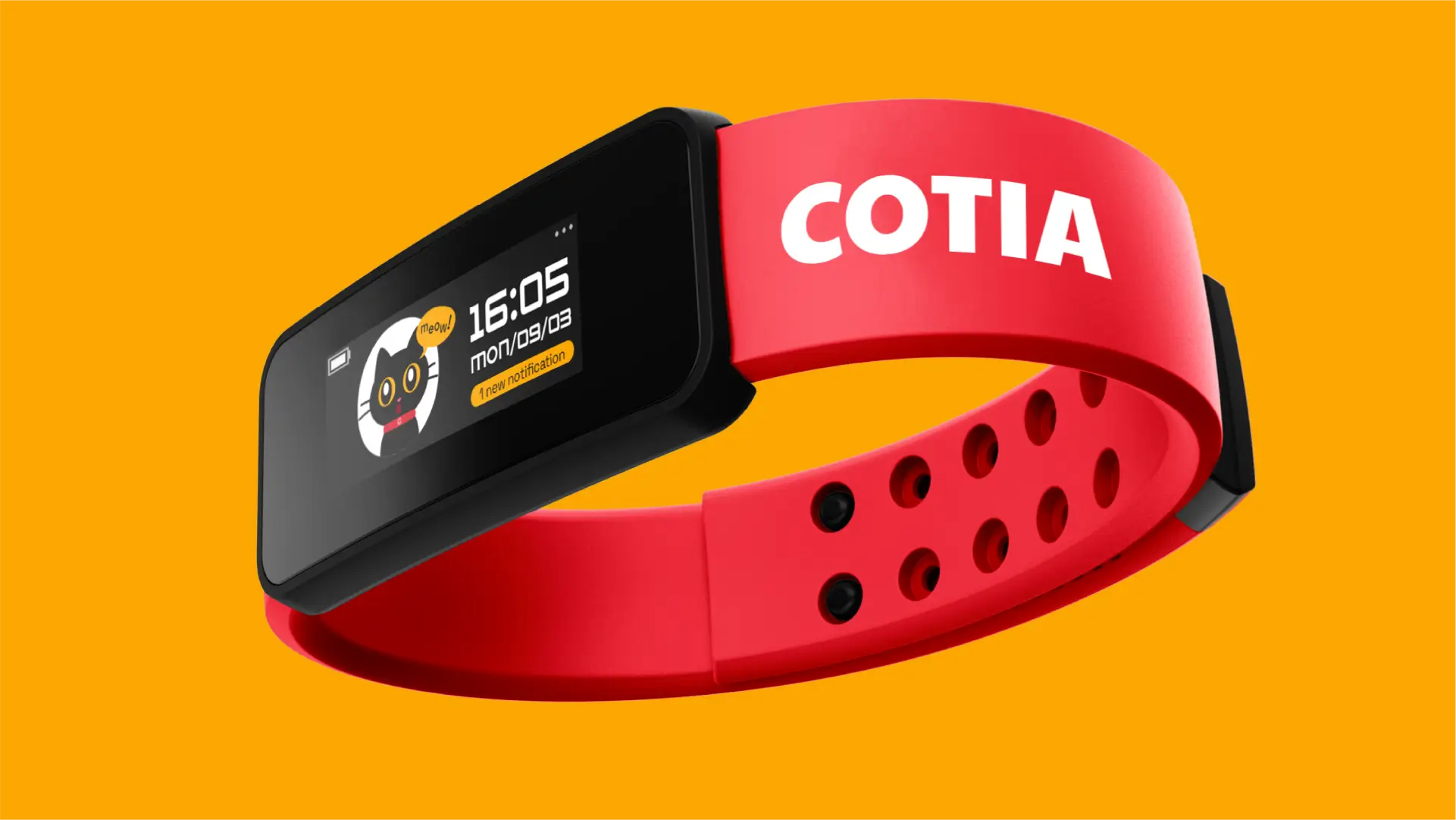 Cotia. Брендинг для українського smart tech & AI for animals стартапу - idealers
