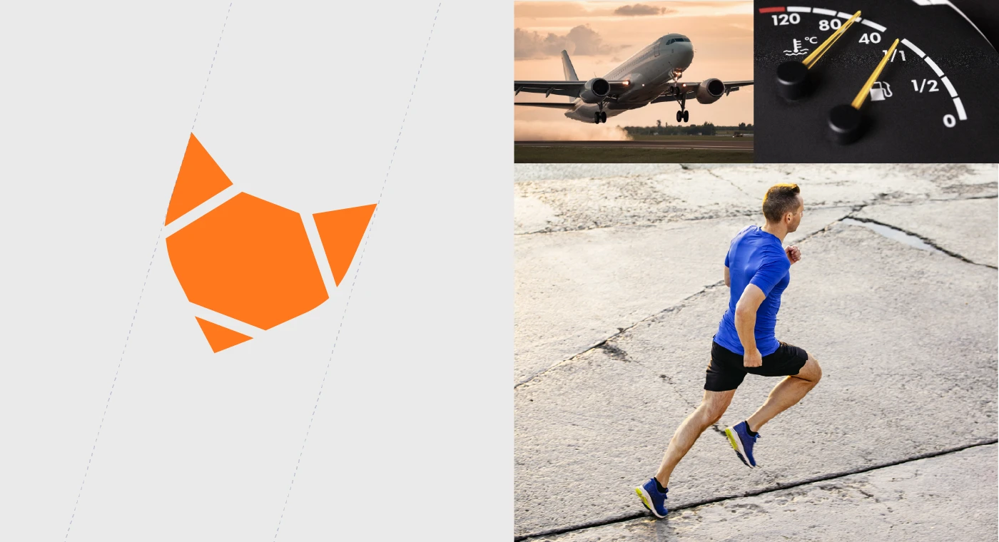 Fleetfox. Оновлення бренду естонського стартапу - idealers